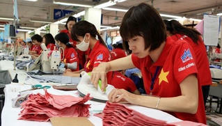 Doanh nghiệp được tự chứng nhận xuất xứ hàng hóa khi xuất khẩu vào EU