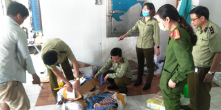 Đồng Tháp: Phát hiện số lượng lớn thực phẩm đông lạnh không rõ nguồn gốc, xuất xứ 