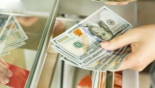 Tỷ giá USD hôm nay 19/8: Đồng USD trong nước giảm sâu