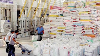 Đã nhập kho dự trữ quốc gia đủ 190.000 tấn gạo