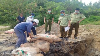 Phát hiện, xử lý 600kg vịt mổ sẵn đông lạnh nhập lậu