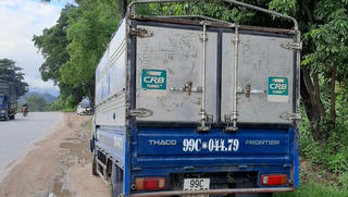Phát hiện, tiêu hủy gần 1 tấn lợn mắc dịch tả lợn châu Phi
