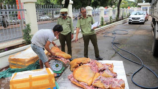 Chặn đứng 3 tạ thịt heo bốc mùi hôi thối chuẩn bị “tuồn” ra thị trường