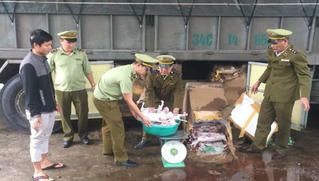 Ngăn chặn 420kg thịt chó, mèo bốc mùi hôi thối đang trên đường tiêu thụ
