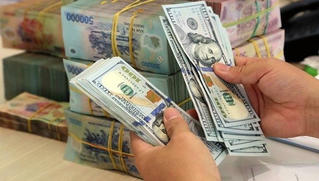 Tỷ giá ngoại tệ hôm nay - 8/12: Tỷ giá trung tâm đi lên, ngân hàng thương mại vẫn đi ngang