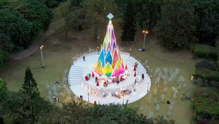 Du khách rần rần đổ về check in cây măng noel siêu độc đáo tại Ecopark