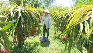 Xã Nam Trạch (Bố Trạch, Quảng Bình): Nỗ lực ”nâng chất” cho mục tiêu xã NTM nâng cao