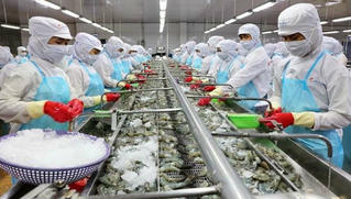 Mỹ bỏ thuế chống phá giá với tôm xuất khẩu của một doanh nghiệp trong nước, Bộ Công Thương nói gì?