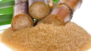 Tiếp nhận hồ sơ đề nghị miễn trừ biện pháp chống bán phá giá sản phẩm đường mía