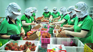 Thương mại Việt – Anh tăng trưởng ngoạn mục ngay sau khi UKVFTA có hiệu lực