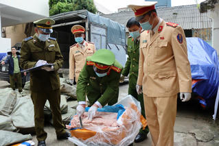“Chặn đứng” hơn 3 tấn nầm lợn nấm mốc đang “về xuôi” tiêu thụ