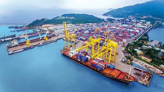 Doanh nghiệp thủy sản như “cá nằm trên thớt” trước giá cước tàu đông lạnh đi Mỹ tăng cao