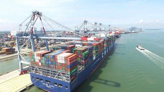 Bất chấp dịch COVID-19, hàng container qua cảng biển vẫn tăng mạnh