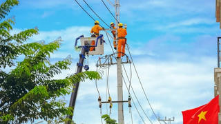 Lịch cắt điện Hà Nội ngày mai 16/7: Cắt điện nhiều khu vực quận Hoàng Mai để cắt tỉa cây xanh phòng chống bão