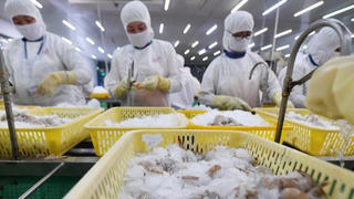 Hơn 70% doanh nghiệp thủy sản không đảm bảo được điều kiện “3 tại chỗ”, VASEP cầu cứu Thủ tướng