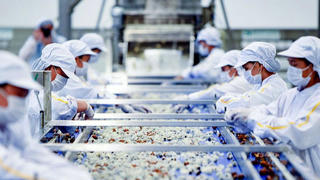 7 tháng, xuất khẩu nông lâm thủy sản đạt 28,6 tỷ USD