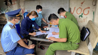 Ngăn chặn kịp thời một tấn lợn thịt nhiễm dịch tả châu Phi đang trên đường đi tiêu thụ