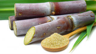 Điều tra chống lẩn tránh biện pháp phòng vệ thương mại đối với đường mía Thái Lan