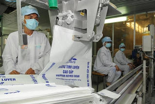 Sắp đấu giá quyền sử dụng hạn ngạch thuế quan nhập khẩu đường năm 2021