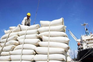 Gia hạn đăng ký đấu giá hạn ngạch thuế quan nhập khẩu 108.000 tấn đường