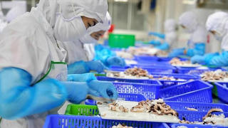 Tăng ca lên 400 giờ/năm để bù “khoảng trống” thiếu hụt lao động