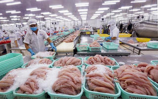 Xuất khẩu thủy sản “ngấm đòn”, tiếp tục giảm sâu ở hầu hết các sản phẩm chủ lực