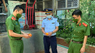 Tịch thu 2,3 tấn hoa quả tươi không rõ nguồn gốc 