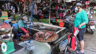 Chợ truyền thống liên tục mở lại, doanh nghiệp đăng ký tái sản xuất tăng 