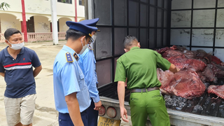 Phát hiện 650 kg thịt sườn lợn thối đang trên đường đưa đi tiêu thụ