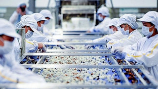 88 doanh nghiệp được đăng ký xuất khẩu thực phẩm đi Trung Quốc