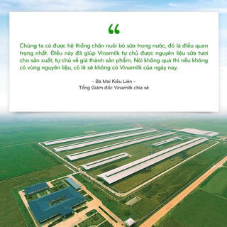 Hệ thống 13 trang trại chuẩn quốc tế của Vinamilk và hành trình phát triển của chúng