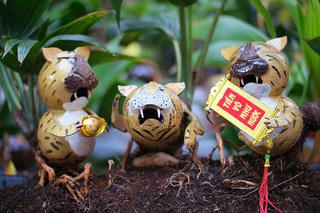 Su hào “đột biến” được rao 9,9 tỷ, dừa bonsai hình hổ thu hút khách trước Tết Nhâm Dần 2022