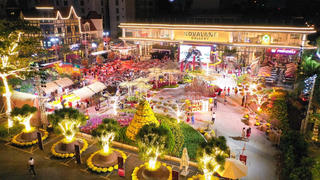 Hội Hoa Xuân 2022 độc đáo tại Novand Gallery - Điểm check in Tết sớm “gây sốt” với người Sài Gòn 