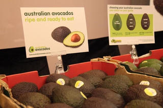 Quả bơ đông lạnh Việt Nam chính thức xây dựng thương hiệu tại Australia