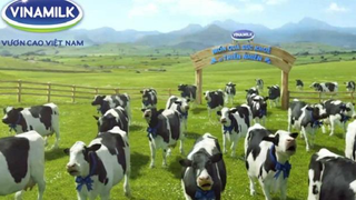 Doanh thu Vinamilk tăng kỷ lục nhưng lãi gộp giảm mạnh