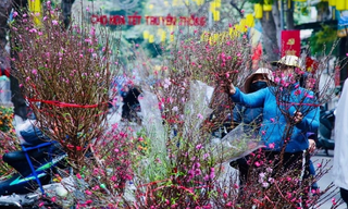 Công chức, viên chức được nghỉ Tết Nguyên đán 7 ngày