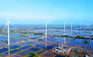 115 triệu kWh điện được phát từ các dự án năng lượng tái tạo chuyển tiếp