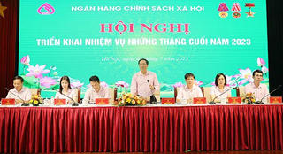 Chương trình cho vay theo Nghị quyết số 11/NQ-CP: Hệ thống Ngân hàng Chính sách xã hội dồn lực giải ngân