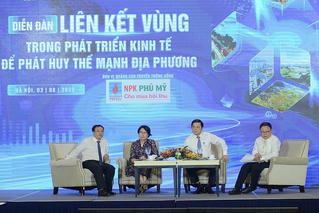 Thúc đẩy liên kết vùng, cần chính sách toàn diện