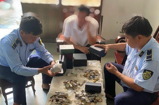 Chuyển Cơ quan Cảnh sát điều tra vụ việc buôn bán đồng hồ giả mạo nhãn hiệu Rolex, Omega, Tissot...