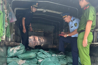 Thu giữ 1.400kg lòng bò “bẩn” bốc mùi hôi thối chuẩn bị tuồn ra thị trường