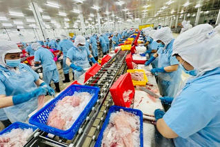 Xuất khẩu thủy sản Việt Nam sang Mỹ tăng 80% sau 10 năm