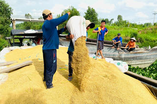 Bàn cách phát triển thế mạnh lúa gạo, thủy sản