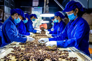 Tiềm năng xuất khẩu dược liệu 