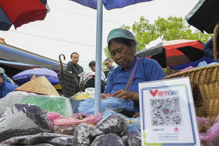 Lực cản phát triển nông nghiệp số 