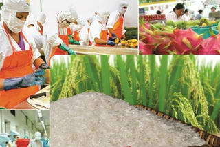 Kỳ vọng kim ngạch xuất khẩu 2023