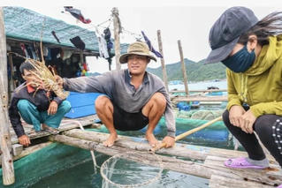 Gỡ khó xuất khẩu tôm hùm sang Trung Quốc