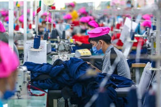 Báo cáo tình hình tiền lương, thưởng Tết trước ngày 25/12