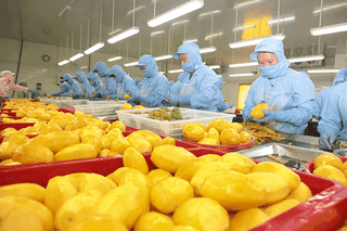 Ngành Nông nghiệp nỗ lực cán đích xuất khẩu 54 tỷ USD