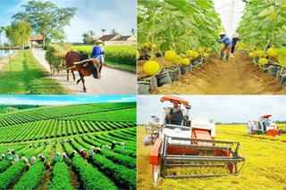 Trách nhiệm tháo gỡ khó khăn, vướng mắc